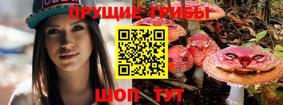 магазин продажи   Вход с VPN  Новочеркасск  Псилоцибиновые грибы ЛСД 