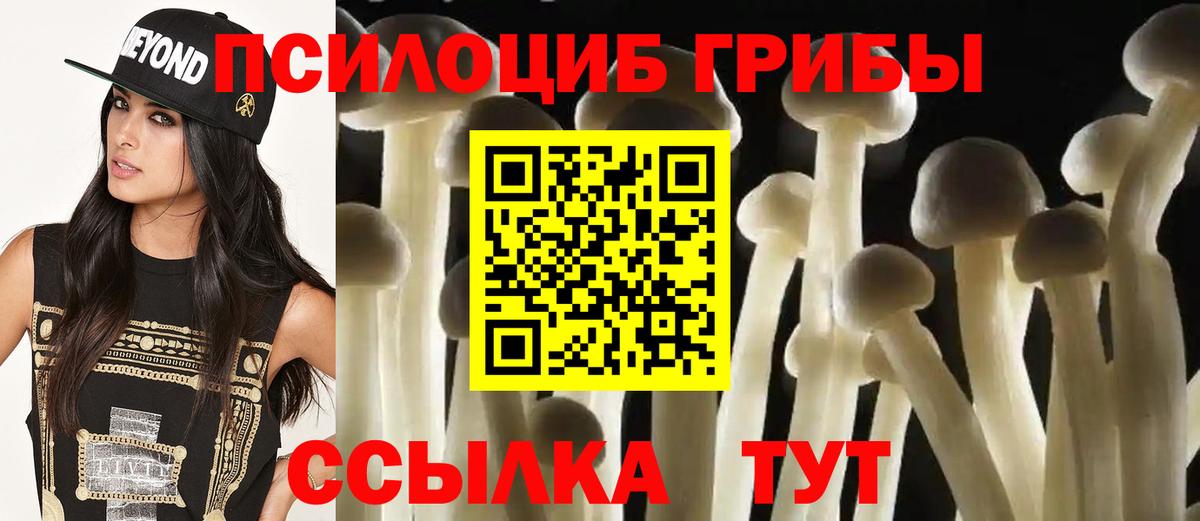 Псилоцибиновые грибы Psilocybine cubensis Новочеркасск